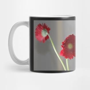 red gerber daisies Mug